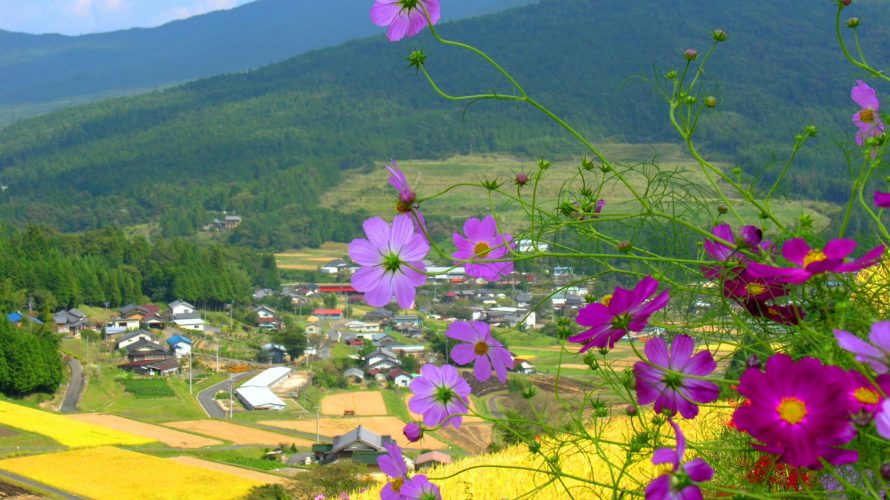 岐阜県恵那市坂折棚田