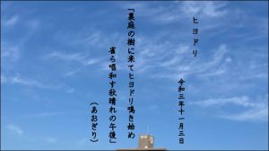 裏庭の樹に来てヒヨドリ鳴き始め雀ら唱和す秋晴れの午後