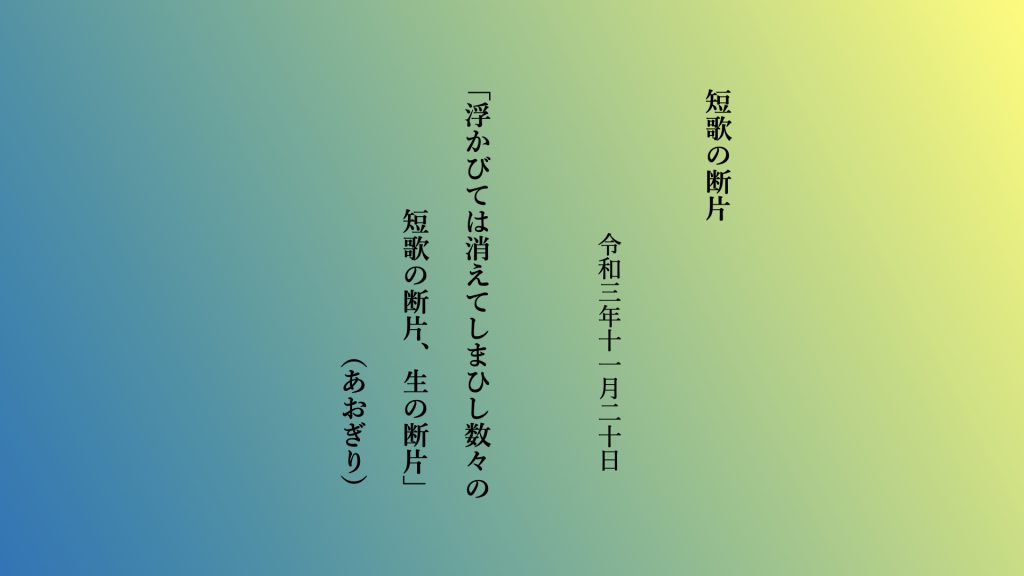 浮かびては消えてしまひし数々の短歌の断片、生の断片