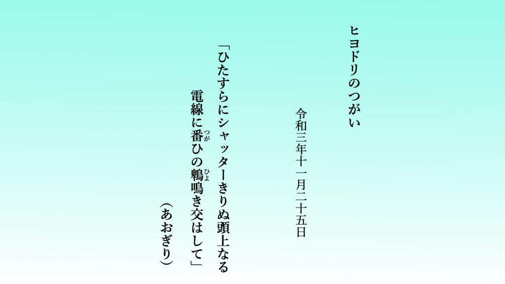 ひたすらにシャッターきりぬ頭上なる電線に番（つが）ひの鵯（ひよ）鳴き交はして