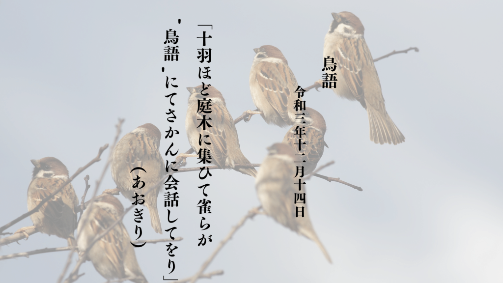 十羽ほど庭木に集ひて雀らが‘鳥語’にてさかんに会話してをり