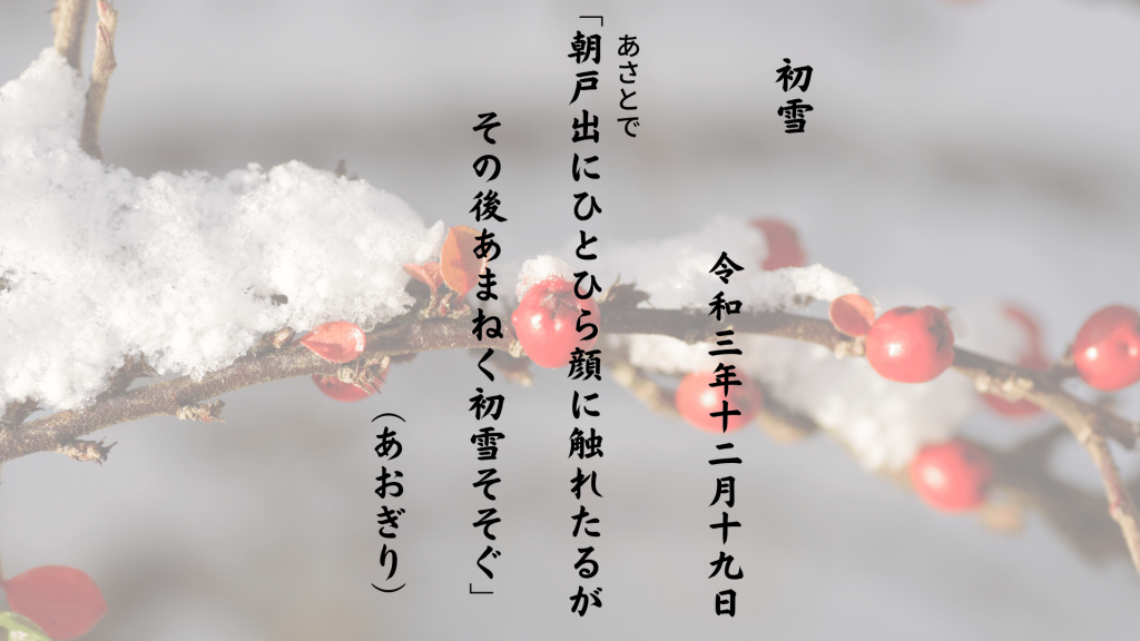 朝戸出（あさとで）にひとひら顔に触れたるがその後あまねく初雪そそぐ