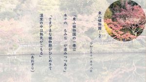 東山植物園の一帯は木々の‘もみぢ’が進みつつあり さまざまな植物群がひしめきて温室の中は熱気がこもる