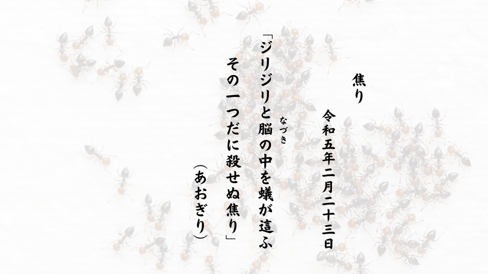 ジリジリと脳（なづき）の中を蟻が這ふその一つだに殺せぬ焦り