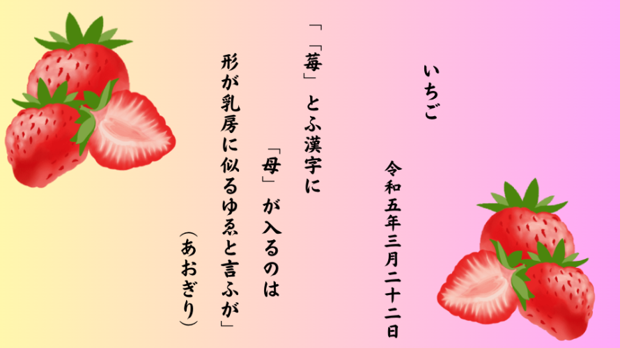 「莓」とふ漢字に「母」が入るのは形が乳房に似るゆゑと言ふが