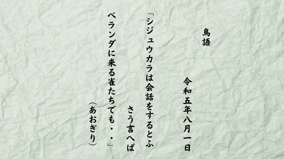 シジュウカラは会話をするとふさう言へばベランダに来る雀たちでも・・