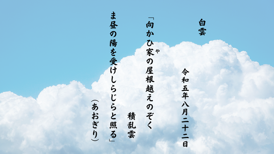 向かひ家（や）の屋根越えのぞく積乱雲ま昼の陽を受けしらじらと照る