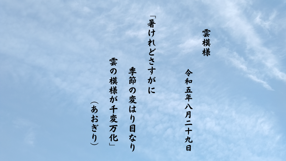 暑けれどさすがに季節の変はり目なり雲の模様が千変万化