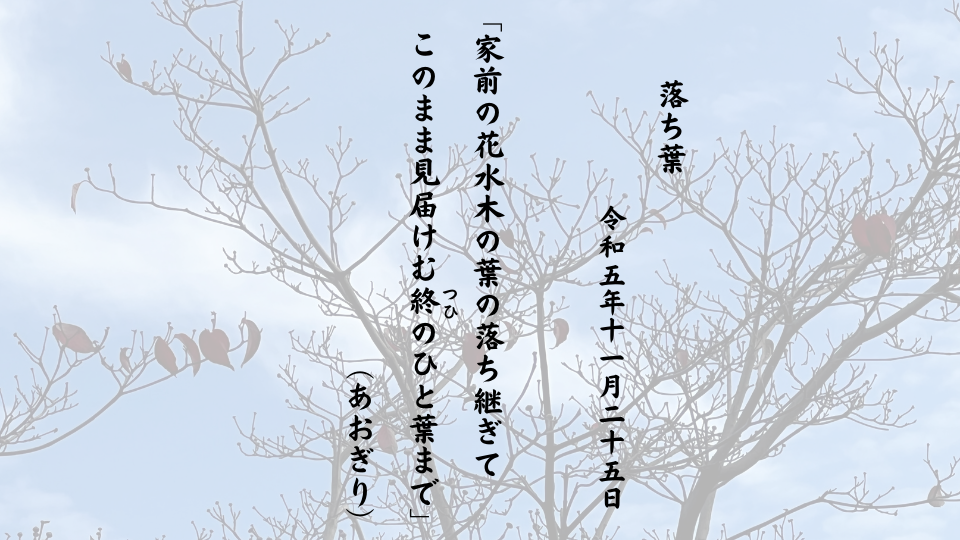 家前の花水木の葉の落ち継ぎてこのまま見届けむ終（つひ）のひと葉まで