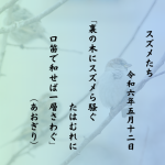 裏の木にスズメら騒ぐたはむれに口笛で和せば一層さわぐ