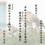 「平和とはかくなることか雀らが朝光（あさかげ）のなかチチチと睦む」「朝光（あさかげ）にチチとし鳴けるスズメらよなほ寄りて来よベランダの餌に」