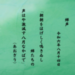 朝朝をはげしく鳴きゐし蝉たちの声はや激減す八月なかばで