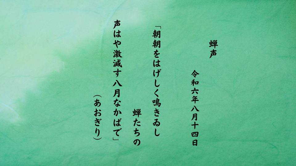 朝朝をはげしく鳴きゐし蝉たちの声はや激減す八月なかばで