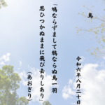 鳩ならずまして鴉ならぬ鳥一羽 思ひつかぬままに飛び去りしあり