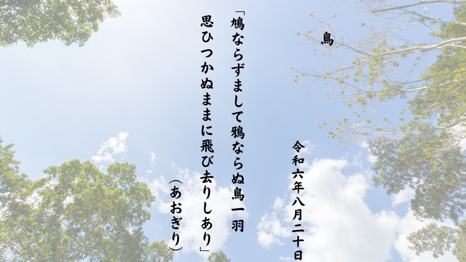 鳩ならずまして鴉ならぬ鳥一羽 思ひつかぬままに飛び去りしあり