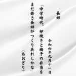 中学時代、卵焼きと梅干の弁当をまだ若き長姉がつくり呉れしかな