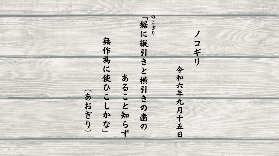 鋸（のこぎり）に縦引きと横引きの歯のあること知らず無作為に使ひこしかな