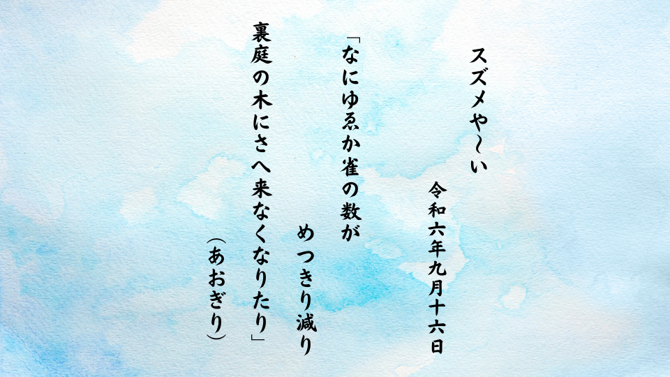 なにゆゑか雀の数がめつきり減り裏庭の木にさへ来なくなりたり