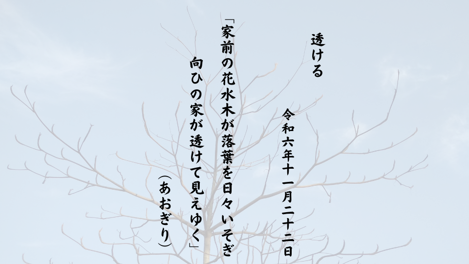 家前の花水木が落葉を日々いそぎ向ひの家が透けて見えゆく