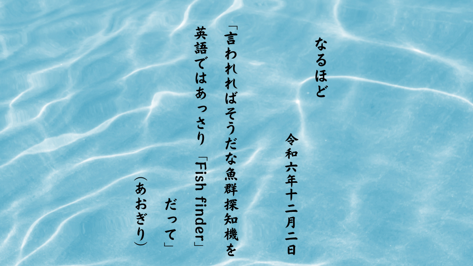 言われればそうだな魚群探知機を英語ではあっさり「Fish finder」だって