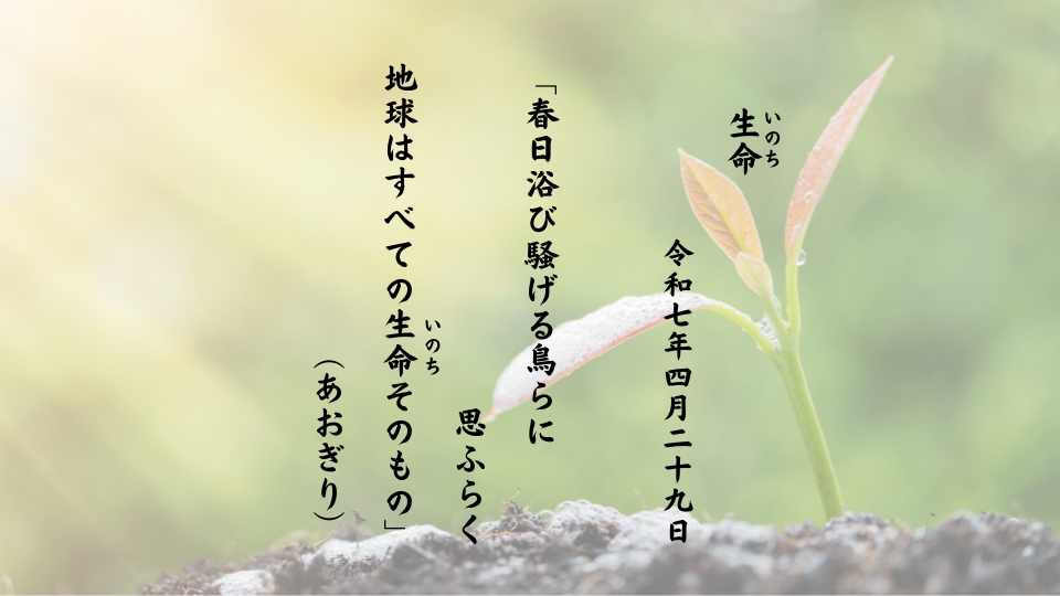 春日浴び騒げる鳥らに思ふらく地球はすべての生命（いのち）そのもの