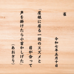屋根に居る一羽のスズメと目が合って声を掛けたら小首かしげた