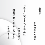 あられなど食べて憩ふにバリバリと頭蓋に響く音こころよし