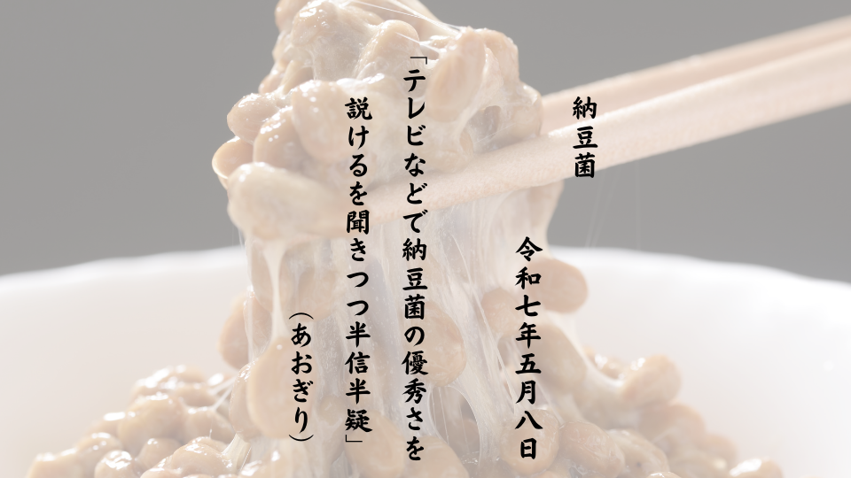 テレビなどで納豆菌の優秀さを説けるを聞きつつ半信半疑