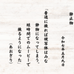 普通に撮れば被写体はみな静物になってしまう。短時間でのムービーで撮るようになった