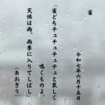 雀どちチュチュチュチュと哀しく鳴くものよ。天候は雨、雨季に入りてしばし