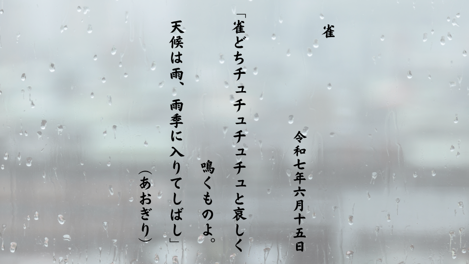 雀どちチュチュチュチュと哀しく鳴くものよ。天候は雨、雨季に入りてしばし