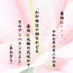 わが娘は小柄なれども豪快に大輪の花咲かすそのアンバランスよし