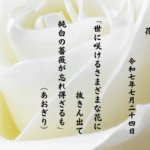 世に咲けるさまざまな花に抜きん出て純白の薔薇が忘れ得ざるも