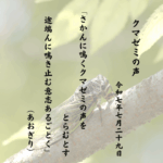 さかんに鳴くクマゼミの声をとらむとす途端んに鳴き止む意志あるごとく