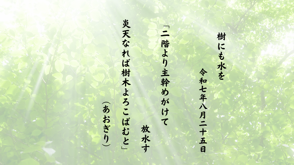 二階より主幹めがけて放水す炎天なれば樹木よろこばむと