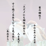 スズメにも個性はありや人を見てすぐ逃ぐるありじっと見るあり