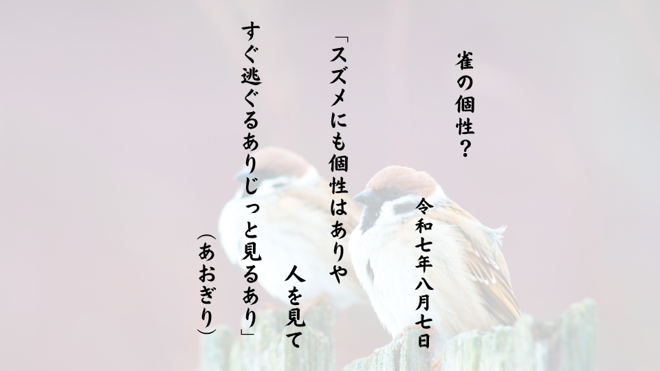 スズメにも個性はありや人を見てすぐ逃ぐるありじっと見るあり