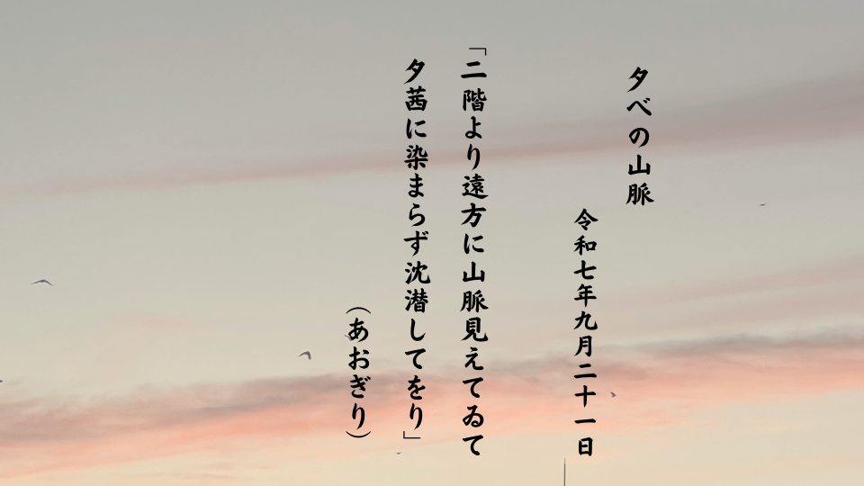 二階より遠方に山脈見えてゐて夕茜に染まらず沈潜してをり