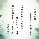 いつともなく小鳥らは静かにやってきて満杯の餌をきれいに平らぐ