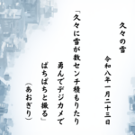 久々に雪が数センチ積もりたり勇んでデジカメでぱちぱちと撮る