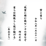 枝葉に積む数センチの雪なぞ何のその雀らは蹴散らし遊び騒げる