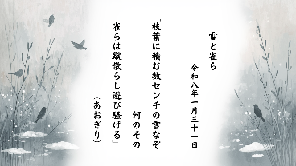 枝葉に積む数センチの雪なぞ何のその雀らは蹴散らし遊び騒げる