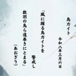 風に躍るカラス型の凧を警戒し数羽の烏ら遠巻きにとまる