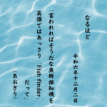 言われればそうだな魚群探知機を英語ではあっさり「Fish finder」だって