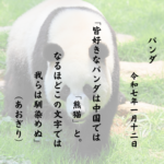 皆好きなパンダは中国では「熊猫」と。なるほどこの文字では我らは馴染めぬ