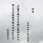 夕曇り焼けざる西に真向かひて唱ふるは意味不明の呻吟なりき