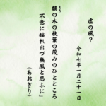 黐（もち）の木の枝葉の茂みのひとところ不意に揺れ出づ無風と思ふに