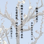 観梅に妻と来たれど梅の並木みな蕾状態、例外をさがす