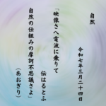 映像さへ電波に乗りて伝はるとふ自然の仕組みの摩訶不思議さよ
