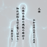 人体の各部の機能の精妙さ知れば知るほど驚くばかり